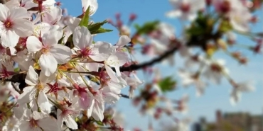 Screenshot_20260219_143711_Instagram