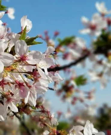 Screenshot_20260219_143711_Instagram