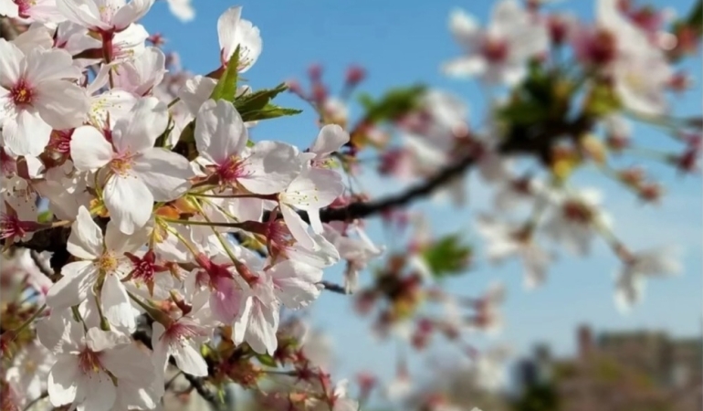 Screenshot_20260219_143711_Instagram