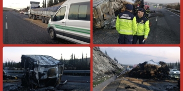 Screenshot_20260222_192101_Gallery