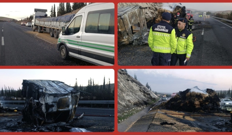 Screenshot_20260222_192101_Gallery