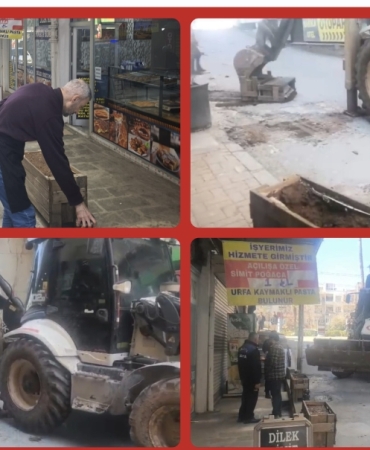 AISelect_20260312_111815_Gallery