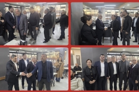 Screenshot_20260304_202519_Gallery