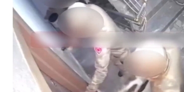 Screenshot_20260308_110021_Chrome