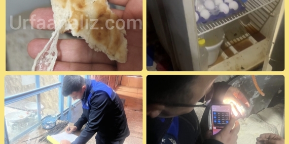 Screenshot_20260331_000958_Gallery