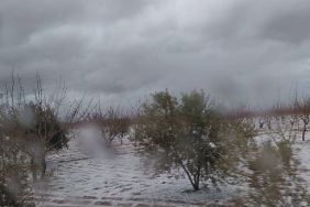 f-b-i-m-g-1774111590567