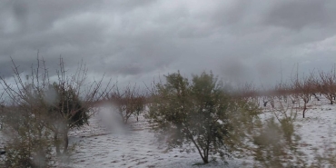 f-b-i-m-g-1774111590567