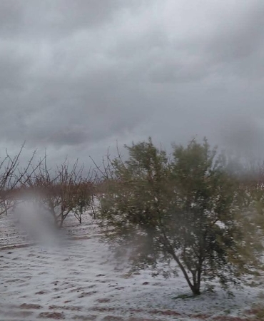 f-b-i-m-g-1774111590567