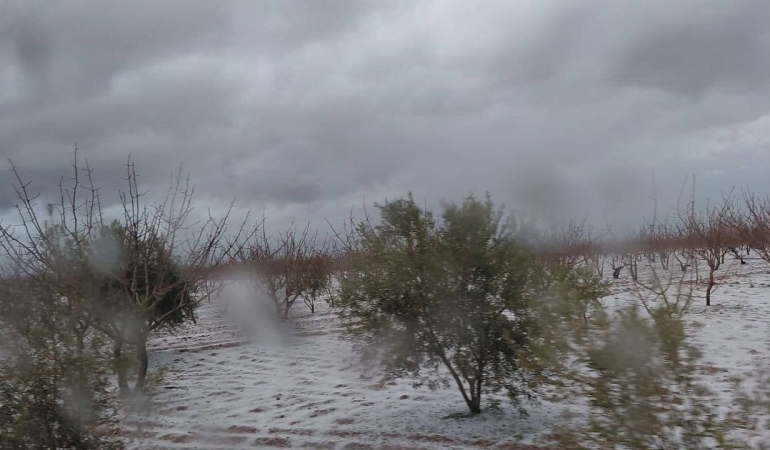 f-b-i-m-g-1774111590567