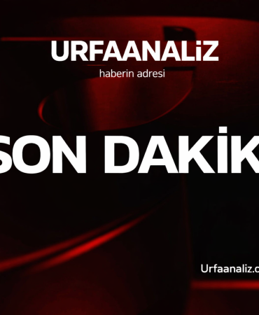 file_00000000067c72439d954dcd963728dc