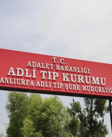 7ac98271-67ce-40bf-99b7-a00b9b46b401-1024x682