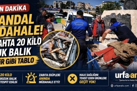 Screenshot_20260424_231936_Gallery