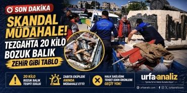 Screenshot_20260424_231936_Gallery