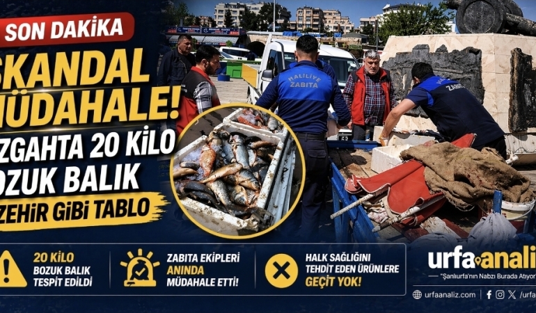 Screenshot_20260424_231936_Gallery