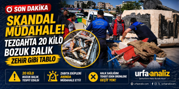 file_00000000ee5071f49250f6a6136aad5f