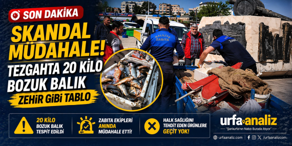 file_00000000ee5071f49250f6a6136aad5f