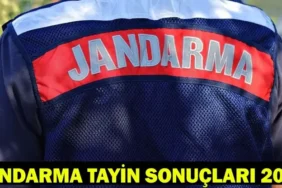 6a1130e7ba1c9ffde772942f