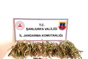 IMG-20260621-WA0023