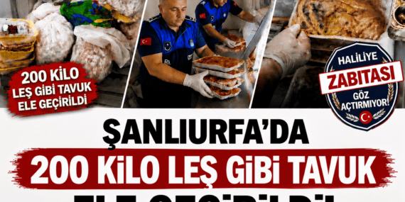 file_0000000065a081f4bc82267230e4fe71