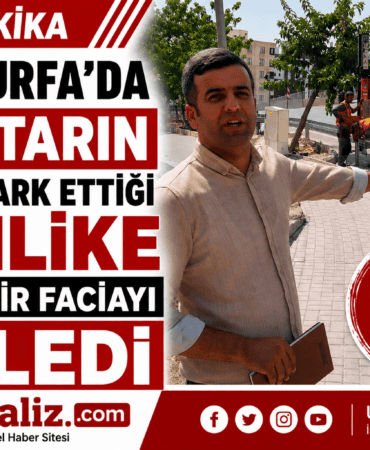 file_000000001f70824399be41e9c665abb0