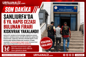 file_000000002860820a9ebdc8436cd2a57a