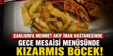 file_0000000044d48210bb89f01b1cbf3be2