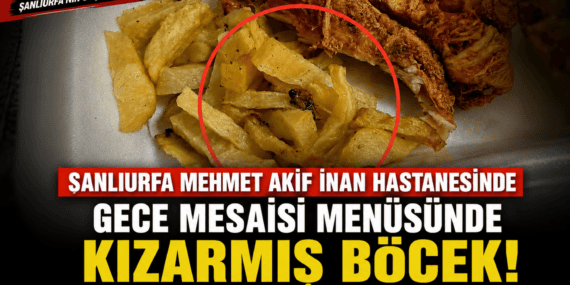 file_0000000044d48210bb89f01b1cbf3be2