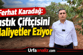 file_0000000011a482108bccf746e4417ee1