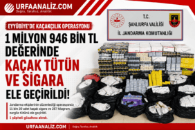 file_00000000495c8210b3899c733a21bc34