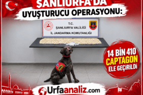 file_0000000012a0820a8c34f66925c92c9c