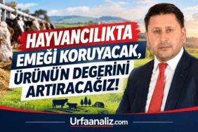 file_000000005c888210a3d157ce45e3de94
