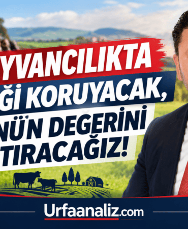 file_000000005c888210a3d157ce45e3de94