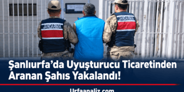 file_000000006534820a8386ad887bf39dc9
