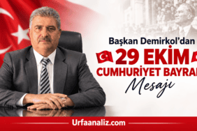 file_00000000680081f4bb28aba9c516eb15
