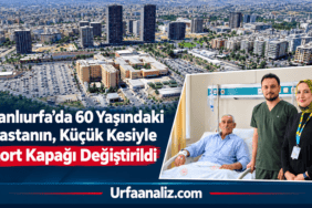 file_00000000b248820a91c02e79c924a576