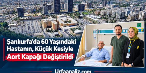 file_00000000b248820a91c02e79c924a576