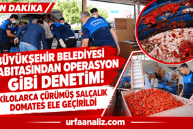 file_00000000d974820a9d95e884a0c09857