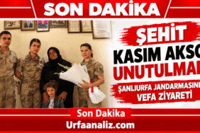 file_00000000e8508246aa032add1a2ae8eb